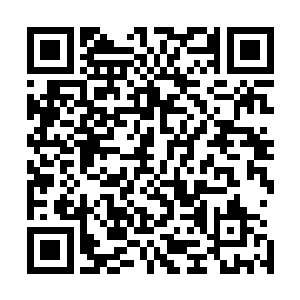 那些散落在混沌域界四周的地球修士们全都飞回了混沌域界二维码生成