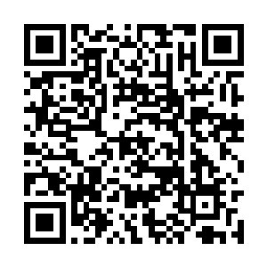 那些整齐而愈来愈凶戾的尖利叫声突然就戛然而止二维码生成