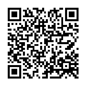 那些早就得到吩咐撤退的属下忧心忡忡围了上去二维码生成