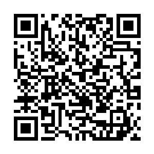 那些早已腐朽的当权者以及他们的后代才会那么措手不及二维码生成