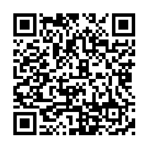 那些暗哨估计是警卫处派来保护苏老爷子的人了二维码生成