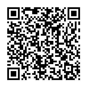 那些曾经无时无刻都想围在谢柔惠身边的念头似乎在这一瞬间崩坍了二维码生成