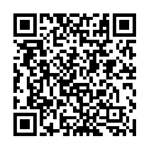 那些曾经的牵挂和悲欢离合大概已经被她收藏在心底二维码生成