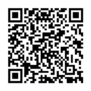 那些曾经鄙视我们的种族今后都一定要仰视我们二维码生成