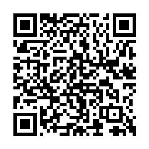 那些朝他袭来的黑影几乎在眨眼间便被剑光绞碎二维码生成