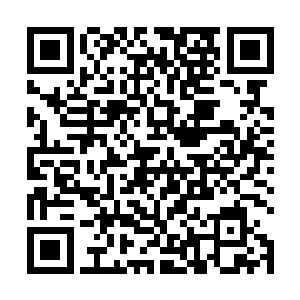 那些机器人也默默的把这几张照片保存在了自己硬盘里二维码生成