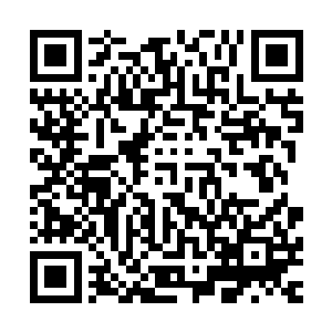那些机甲带着浓烟滚滚以及那尚在燃烧的火焰直接从上空坠落二维码生成