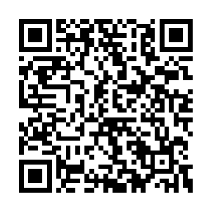 那些杀向大臣们府宅的根本就不是鬼神军的贼人二维码生成