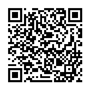 那些柔韧强劲的黑色触手竟然仿佛是遇到了高温的白蜡一般二维码生成