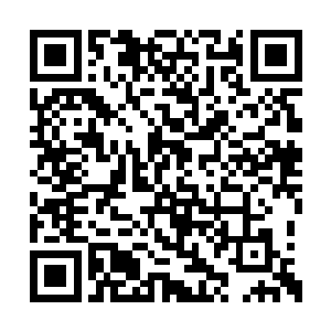 那些树叶仿佛是在微风的吹动下哗哗地抖动起来二维码生成