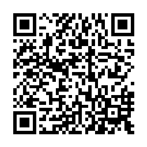 那些根本没有灵魂意识的尸兵尸将们竟都惊恐的朝地下冲去二维码生成
