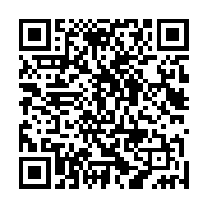 那些梅花就好像是爬山虎一样缠绕上了他们的手掌和手臂二维码生成