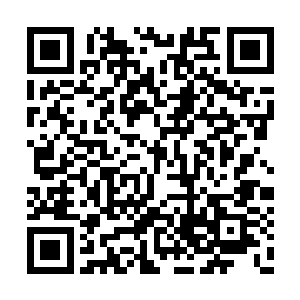 那些楠木柜子里有很多现在已经传了的术数秘典二维码生成