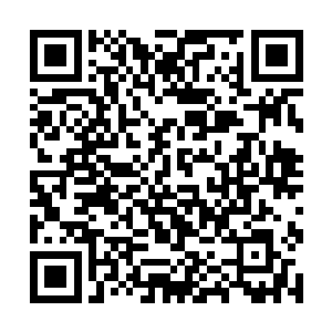 那些正在猎杀凶兽的佣兵只是看的凶兽突然想要奔逃二维码生成