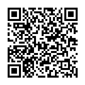那些正是厮杀的飞狮军将士立即纷纷奋然发作起来二维码生成