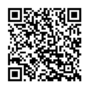 那些武士显然也见到了赵虎这票赵家兵丁的存在二维码生成