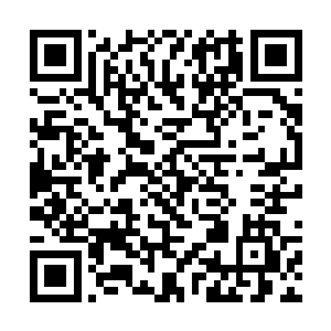 那些水分充足的植被和大树几乎都被瞬间烤干了水分二维码生成