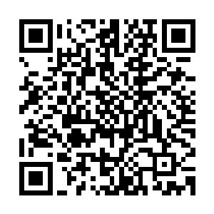 那些汗水和辛苦才能换来今天站在这里保护自己喜欢的人的机会二维码生成