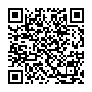 那些没势力背景舍生忘死才搞了点成绩侥幸活下来的人二维码生成