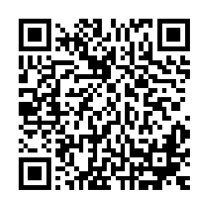 那些没有反应过来的盗贼都惨叫一声被这突如其来的火龙吞噬二维码生成