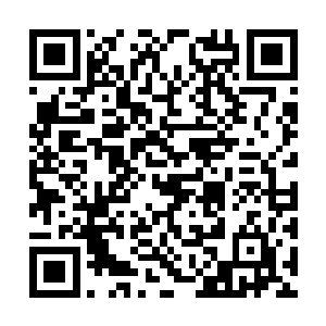 那些没有找到垃圾跟摔倒的老爷爷的人看着赵纯良二维码生成