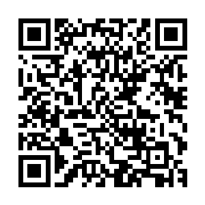 那些没有死的修士也会在有生之年孜孜以求地恢复宗门活家族二维码生成