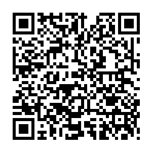 那些没有被麻醉的白蚁已经开始背起托起身边的昏迷状态的同伴迅速撤退二维码生成