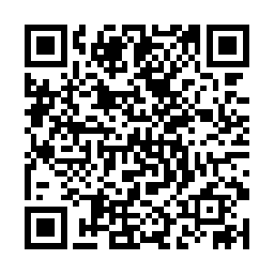 那些炮灰召唤生物正好撞到迎面来的骑士们和绅士们二维码生成