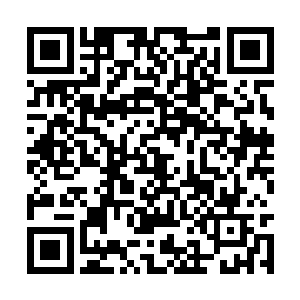 那些烈焰红莲的莲叶可以打造极品的耐高温的盔甲二维码生成