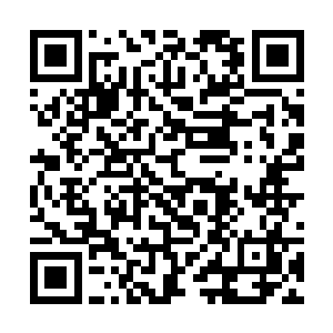 那些狗崽子占据西北角后做出了让人难以忍受的暴行二维码生成