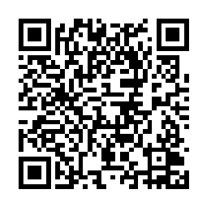 那些琐碎的家务活都快把这只猛虎给磨的没脾气了二维码生成