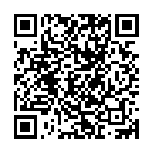那些生了皇子的妃子们一个个的都已经按捺不住了二维码生成