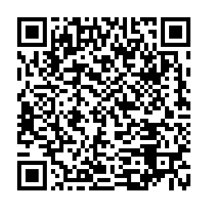 那些生死境强者死后的东西也都不见了……说不定就是他们八人得到手了二维码生成