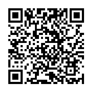 那些百族修士却是心中极为复杂地看着眼前的一切二维码生成