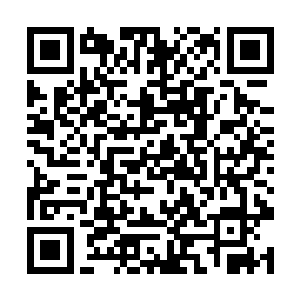 那些目前在台岛位高权重的大人物们损失似乎比较大二维码生成