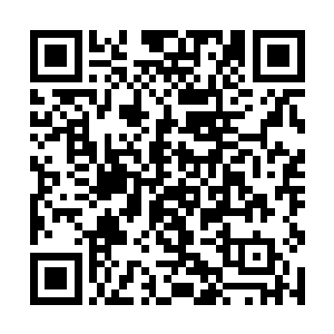 那些看上去只是有些瑰丽的金色薄雾释放出隐隐威压二维码生成