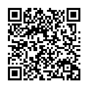 那些看着这一幕的学员们瞬间就是发出一声声欢呼二维码生成