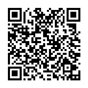 那些看起来是头发的东西开始露出他们狰狞的面容二维码生成