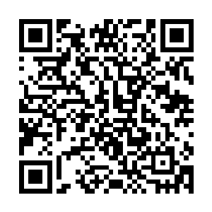 那些眼泪大概在以前偷偷躲起来的时候已经哭完了吧二维码生成