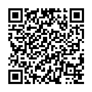 那些神光可是圣祖的圣道大威能对撞形成的力量二维码生成