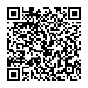 那些神秘的紫气居然是不断的吞噬并且净化那道尊分身的能量化为己有二维码生成