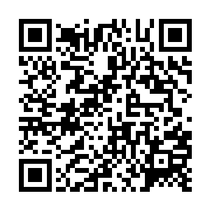 那些突然觉醒意识的小型土元素就是最明显的证明二维码生成