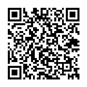那些站在不远处听到了赵纯良话的人民也呆住了二维码生成