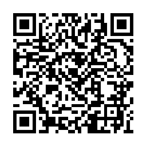 那些紫晶灵石和千年血参都是新落家的镇家之宝二维码生成