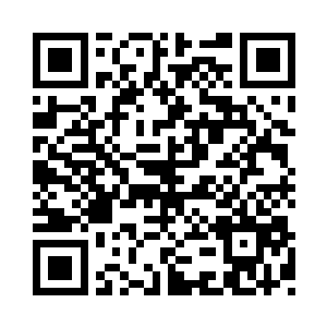那些红了的树叶上面爬满了大大小小的蜈蚣二维码生成