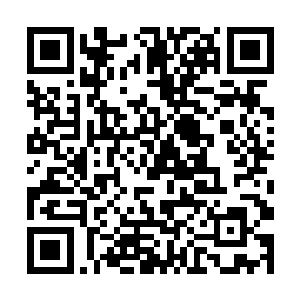 那些纵横天下的人物在追击或者与这些动物较量之后二维码生成