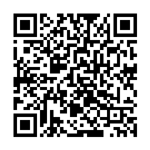 那些缠绕的怪草不是被直接拉断就是被连根从地下拔起二维码生成