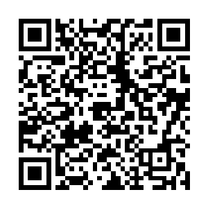 那些老不要脸的家伙居然还好意思到我们右相府来告状二维码生成