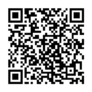 那些老师讲的东西对剑尘来说绝大多数都是没有丝毫作用二维码生成