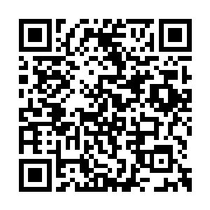 那些肉干一看就是等级极高的妖兽死后炼制所成二维码生成